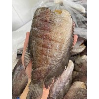 CÁCH LÀM GỎI XOÀI KHÔ CÁ SẶC THƠM NGON ĂN LÀ GHIỀN