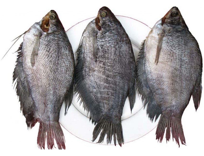 khô cá sặc bổi
