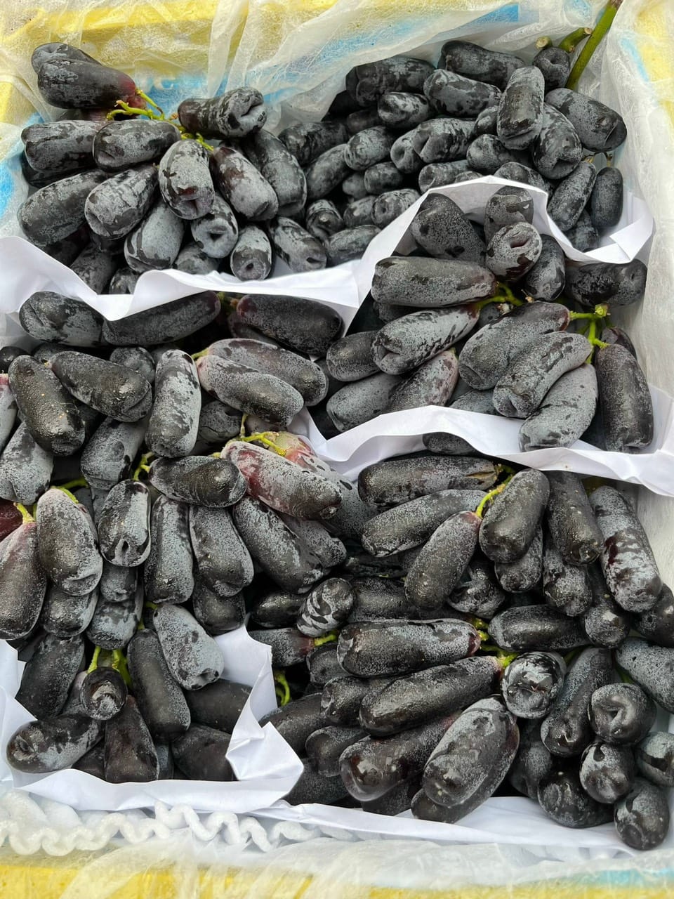 Nho tím không hạt